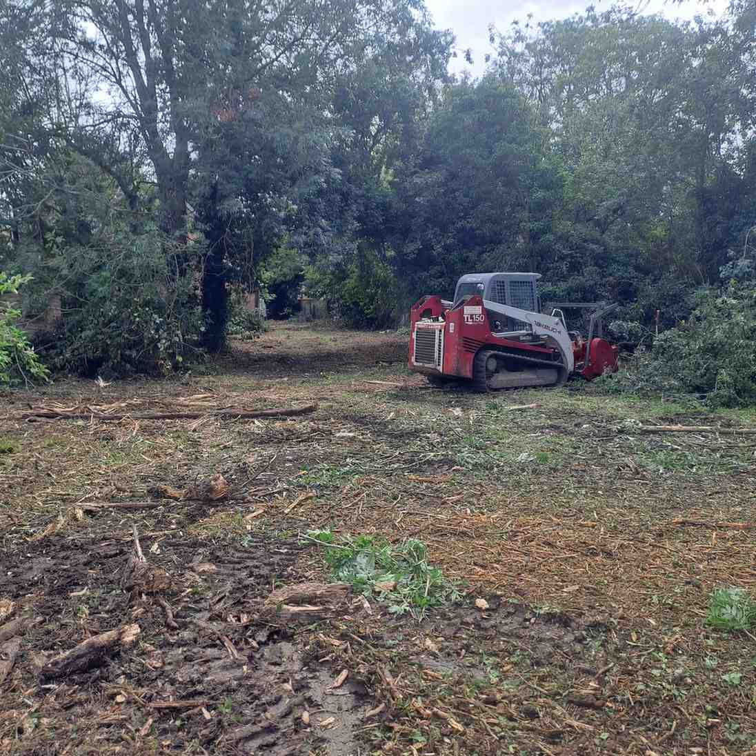 Tracked forestry mulcher clearing an overgrown development plot