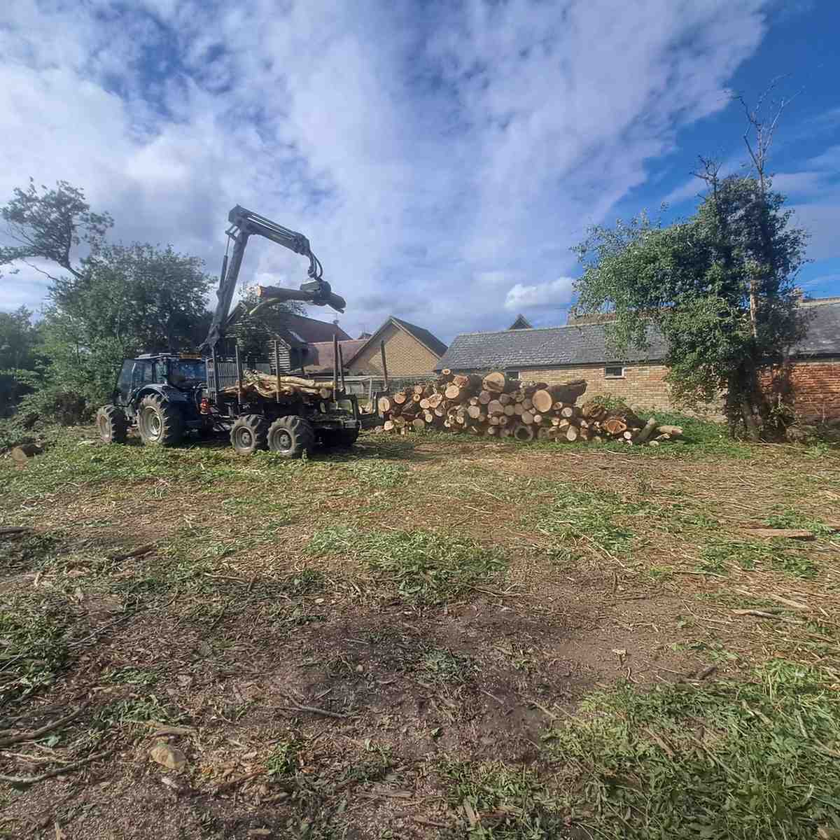Timber crane and stacked logs on a cleared plot beside houses