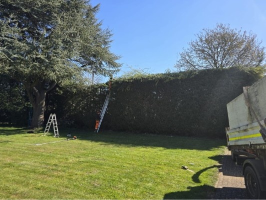 Hedge Cutting work and site preparation
