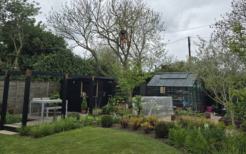 Landscaping work and site preparation