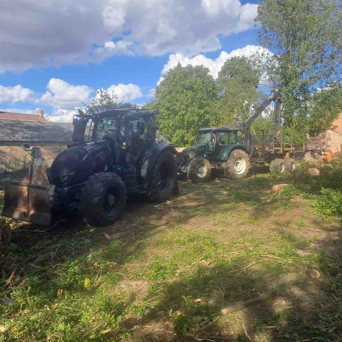 Woodland Management work and site preparation