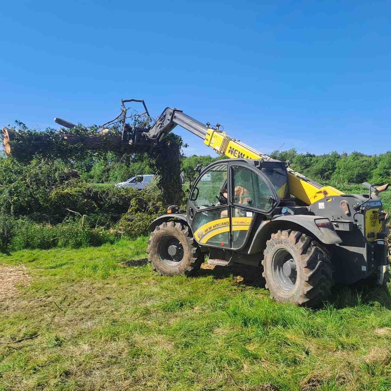Telehandler with grab lifting cleared brash on an overgrown field